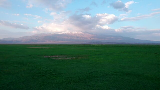 Mount Ararat covered with clouds, a green valley in front of the mountain