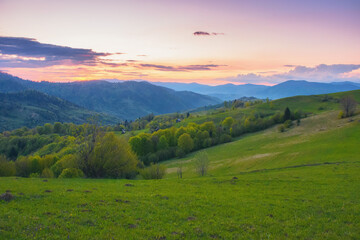 Fototapeta premium countryside scenery with meadow in mountains. springtime landscape at sunset