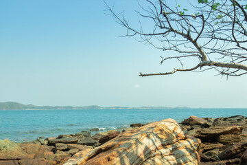 Rocks on the beach are dry trees and branches. There is blue water, island and sky as background. Nature travel concept