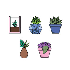 Cactus pot or home desk plant vector icon full colored set illustration isolated on square white background. Simple flat minimalist outlined cartoon drawing. Botanical natural garden art.