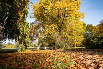 Schlosspark Bad Muskau im Herbst