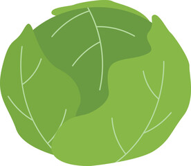 キャベツのアイコン