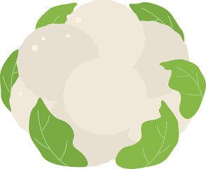 カリフラワーのアイコン