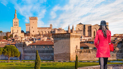 Palace of the Popes or Palais des Papes and Avignon Cathedral  panoramic view - Avignon city, France