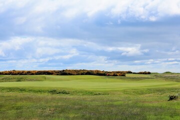 Fototapeta na wymiar An incredible view of a golf hole in Scotland with the ocean in the background in Dornoch, in the highlands of Scotland during spring with the gorse bush in full yellow bloom