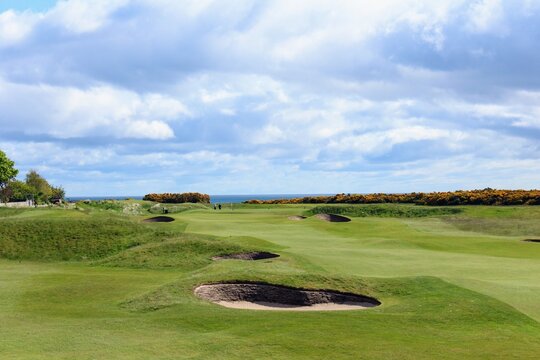 An incredible view of a golf hole in Scotland with the ocean in the background in Dornoch, in the highlands of Scotland during spring with the gorse bush in full yellow bloom