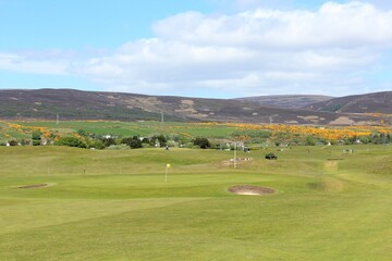 An incredible view of a golf hole in Scotland in the highlands of Scotland during spring with the gorse bush in full yellow bloom and beside the ocean, in Brora, Scotland