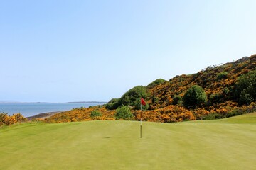 An incredible view of a golf hole in Scotland with the ocean in the background in Inverness, in the highlands of Scotland during spring with the gorse bush in full yellow bloom and beside the ocean