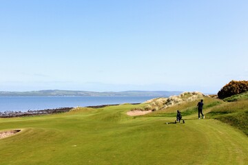 A man playing a golf hole in Scotland with the ocean in the background in Inverness, in the highlands of Scotland during spring with the gorse bush in full yellow bloom and beside the ocean