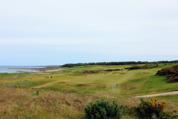 Fototapeta na wymiar An incredible view of a classic links golf hole with pot bunkers in Scotland with the ocean in nearby outside of St. Andrews, Scotland