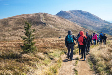 Obraz premium Tourists traffic in Bieszczady mountains, Poland