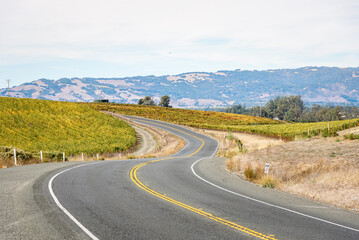 Deserted winding road running between vineyards on a partly cloudy fall day. Napa valley, CA, USA.