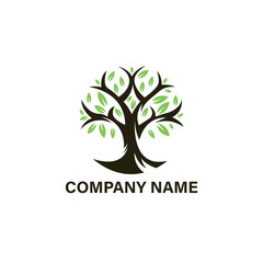 Obraz premium tree logo design. tree icon vector