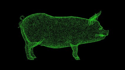 3D pig on black background. Object made of shimmering particles. Animal concept. For title, text, presentation. 3d animation.