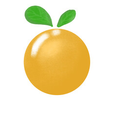 orange with leaf - 613207800