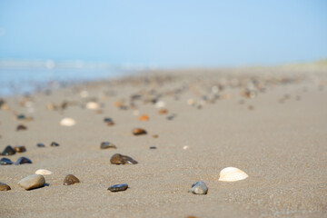 Fototapeta na wymiar Pebbles and shells on the white sand of a Scandinavian beach. Surf of the North Sea.