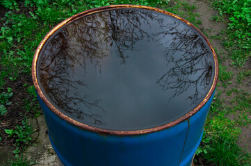 water barrel used for collecting and storing rainwater for watering plants full with water