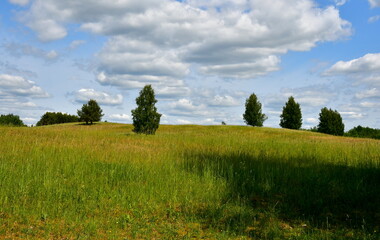 A view from the top of a tall hill covered with grass, herbs, and other flora showing some vast fields, meadows, pasturelands, forest,moors, and a tall hill with some flags on top of it seen in summer