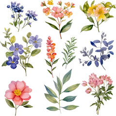 Fototapeta na wymiar Wildflower paintings, floral art, watercolor painting inspiration