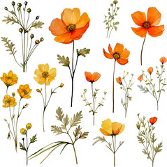 Wildflower paintings, floral art, watercolor painting inspiration