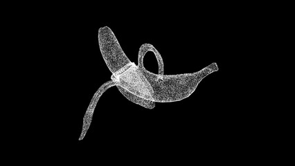 3D peeled banana on black bg. Object dissolved flickering particles. Healthy food concept. For title, text, presentation. 3d animation.