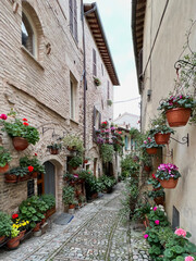 Beautiful flower pots hanging outside the buildings in an alley in Spello, Italy