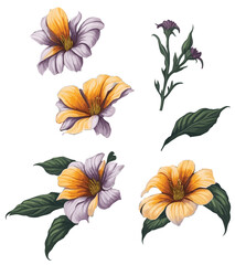 Cartoon Calibrachoa flower , clip art , vector , illustration