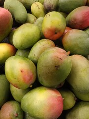 mango fruit