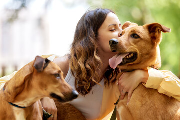 Charming young smiling girl plays and hugs two golden-colored dogs in the park on a sunny day. Love...