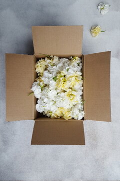 Lieferung  Geschenk Karton gefüllt mit weißen und gelben Blüten auf grauem Untergrund Levkoje Blume romantisches Überraschung zum Geburtstag Hochzeit