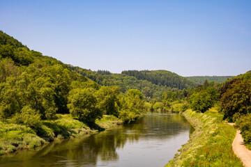 typical  generic view of a slow flowing river in the forest wilderness in Summer