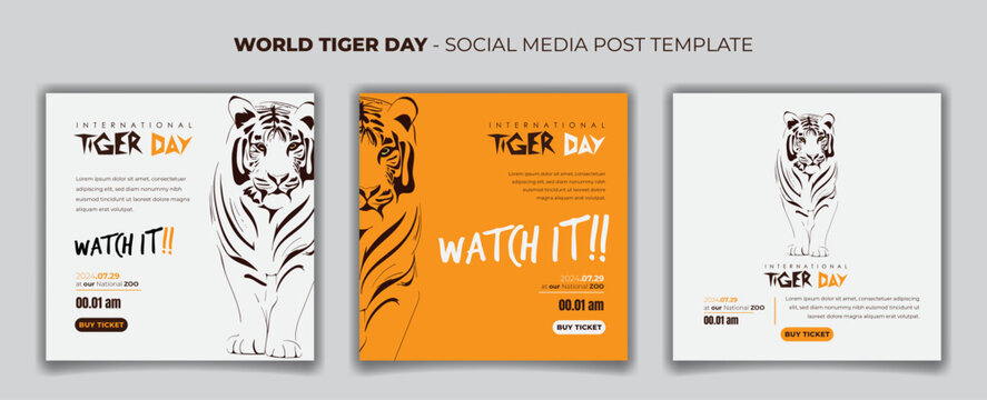 Set of social media post template with walking tiger in hand drawn design for tiger day campaign