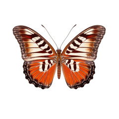 Chestnut tiger butterfly -  Parantica sita. Transparent PNG. Generative AI