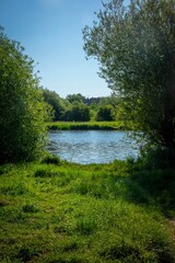 Fototapeta premium Grass leading to river with tress framing either side-001