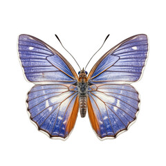 Western pygmy blue butterfly -  Brephidium exile 3. Transparent PNG. Generative AI