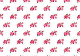 Rose flowers seamless pattern. Vector style.