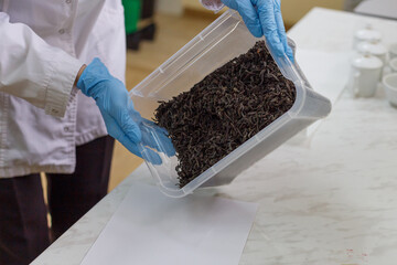 Worker of quality lab holds container with raw tea material.