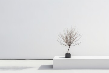 Small tree in a white square vase, perfect for adding greenery to any space. Generative AI