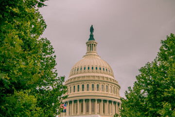 US Capitol Dome Rises Above the Treeline