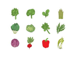 Vegetable Illustration for Food Industry