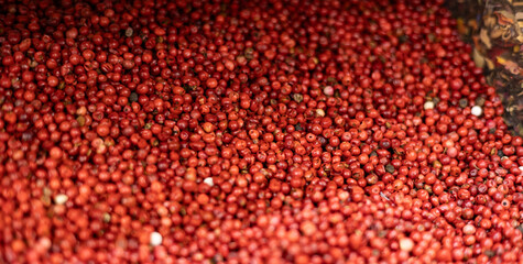 United Arab Emirates, Dubai, spice market, April 2023: Old souk bazaar market with herbs and spices. Close-up red pepper.