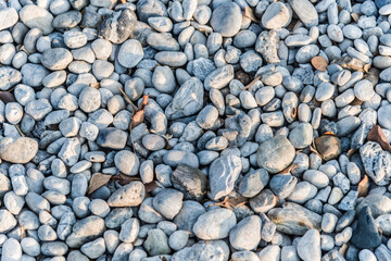 Pebbles and rocks on teh ground