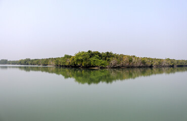Sundarbans National Park.Sundarbans is a tidal wetland forest delta with an area of about 10,200 square km across India and Bangladesh. this photo was taken from Bangladesh.