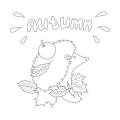 Cute hedgehog black stroke line for children's books and coloring pages. An illustration of a hedgehog sitting in leaves with an apple in black and white isolated on a white background.