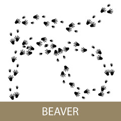 Traces of forest rodent mammal animal, footprints of European beaver, vector illustration © serz72