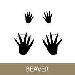 Trace of forest animal, European beaver mammal footprint, vector illustration © serz72