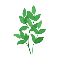 Forest botanical element of lingonberry, blueberry. A green plant, a bush in a cartoon style.