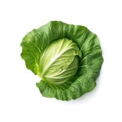 Obraz premium Cabbage leaf isolated on white background. Generative AI