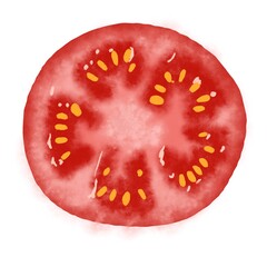 red tomato, Tomatoes set, Sliced vegetable, watercolor hand drawn illustration of Tomato