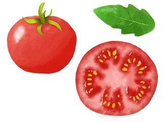 Fresh cherry tomatoes on the branch set, white background, Hand drawn watercolor illustration, Watercolor illustration, Sketch of tomatoes